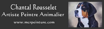 Chantal Rousselet - artiste peintre animalier