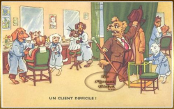 chien-humanise-coiffeur.png