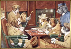 chiens-humanises-joueurs-de-cartes-poker.png