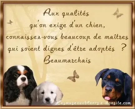 Citation de beaumarchais