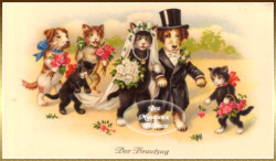 mariage-chien-chat.png